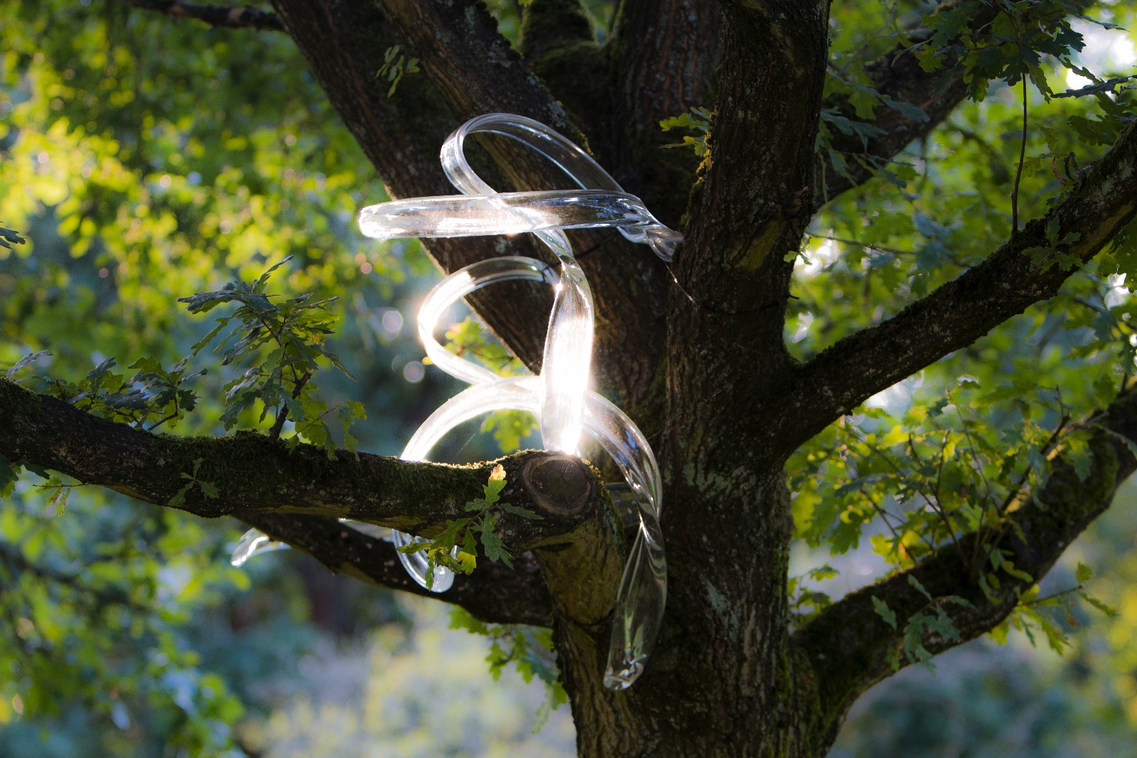 GlasPlastikUndGarten2016 008