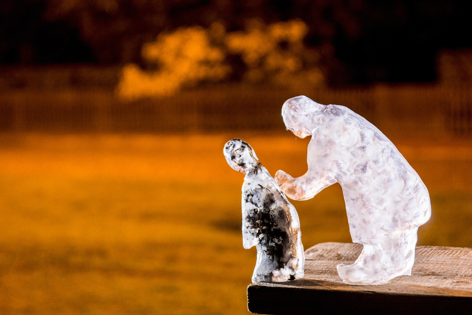 GlasPlastikUndGarten2016 012a