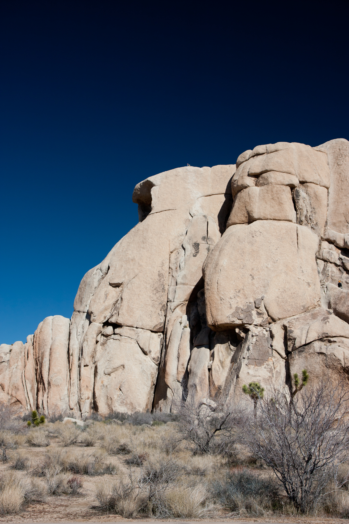 Joshua Tree Rocks
