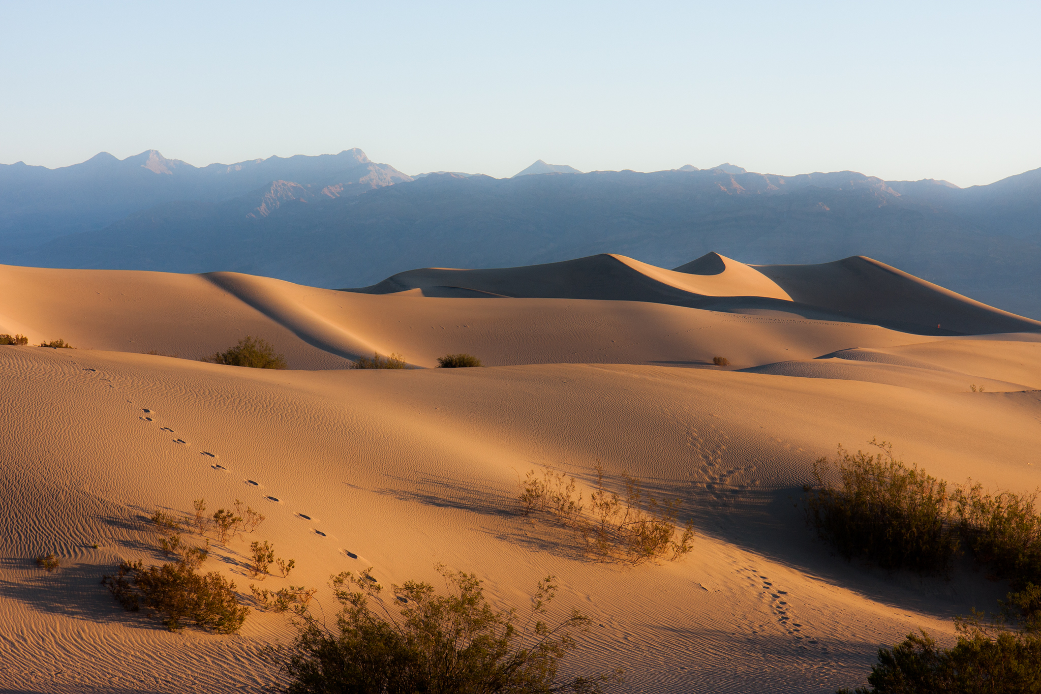 Mesquite Flat Sand Dunes
