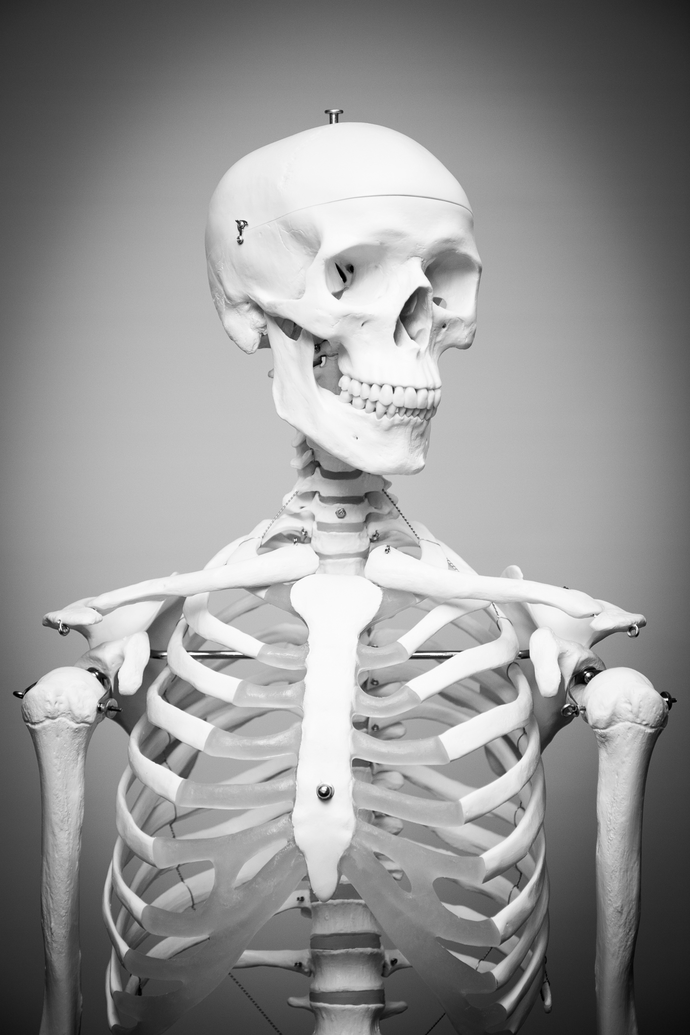 Skeleton Man