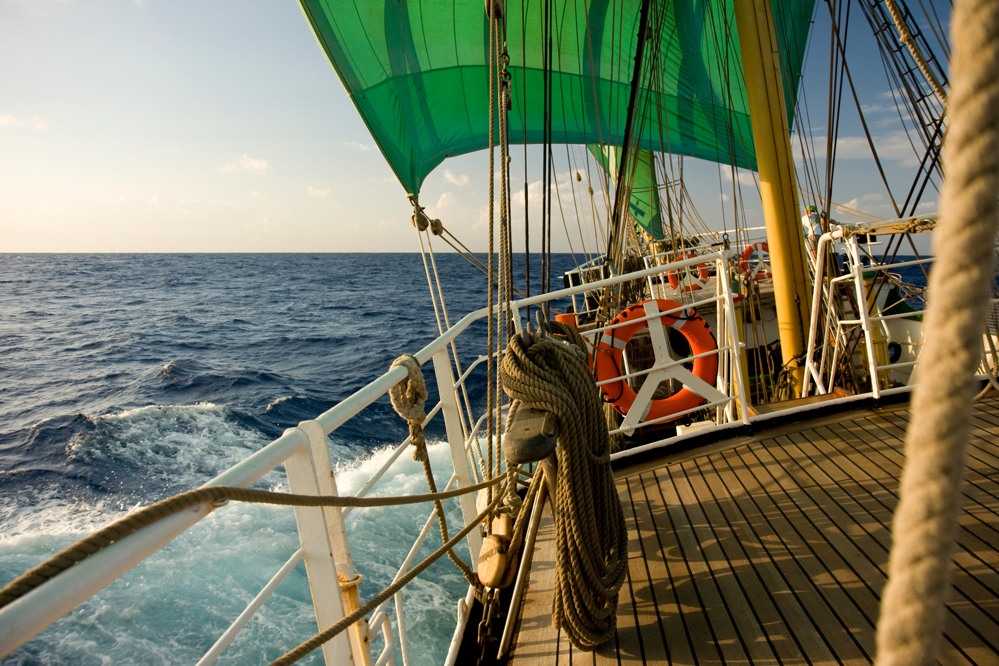 Alex von Humboldt I (2)